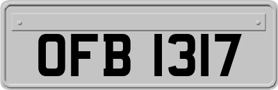 OFB1317