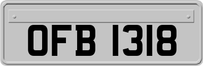 OFB1318