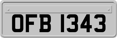 OFB1343