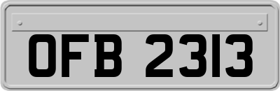 OFB2313