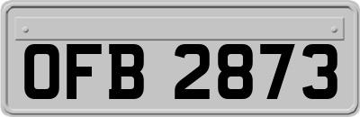 OFB2873