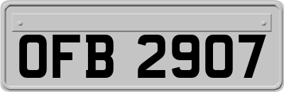 OFB2907