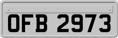 OFB2973