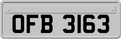 OFB3163