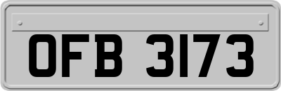 OFB3173