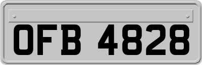 OFB4828