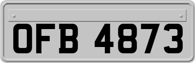 OFB4873