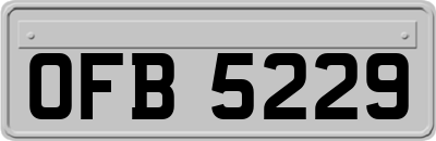 OFB5229