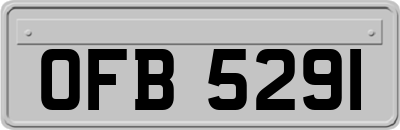 OFB5291