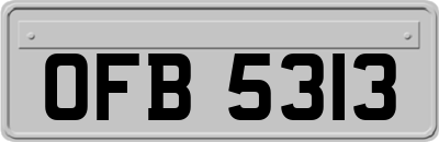 OFB5313