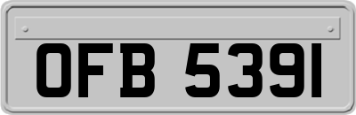 OFB5391