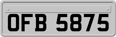 OFB5875