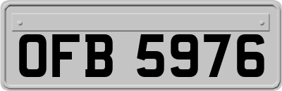 OFB5976