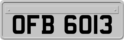 OFB6013