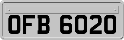 OFB6020