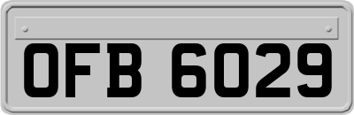 OFB6029