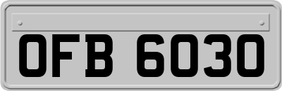 OFB6030