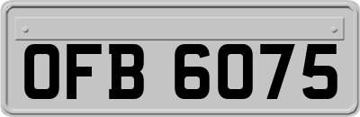 OFB6075