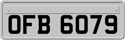 OFB6079