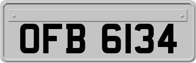OFB6134