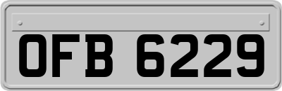 OFB6229