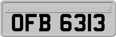 OFB6313