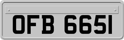 OFB6651