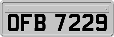 OFB7229