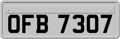 OFB7307