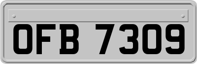 OFB7309