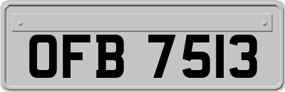 OFB7513