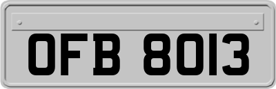 OFB8013