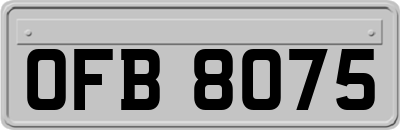 OFB8075