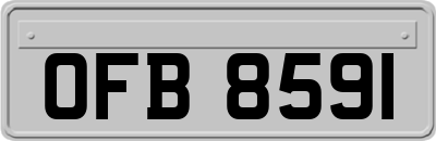 OFB8591