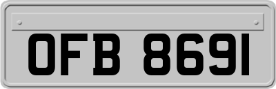 OFB8691