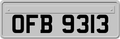 OFB9313