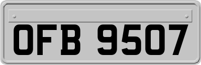 OFB9507