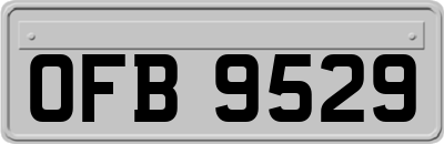 OFB9529