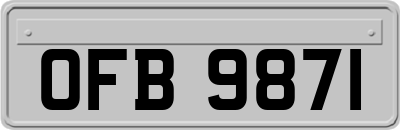 OFB9871