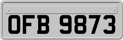 OFB9873