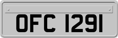 OFC1291