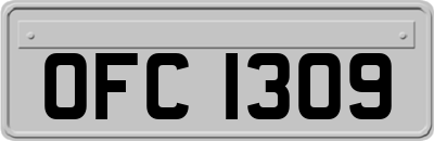 OFC1309