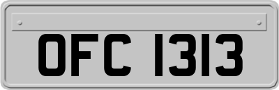 OFC1313