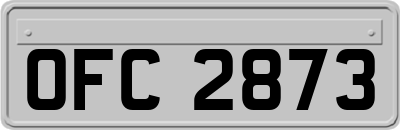 OFC2873