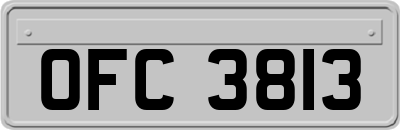 OFC3813