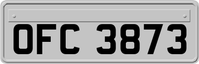 OFC3873
