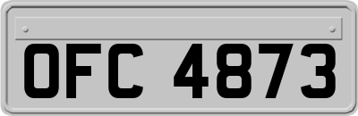 OFC4873