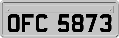 OFC5873