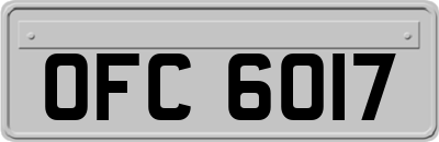 OFC6017