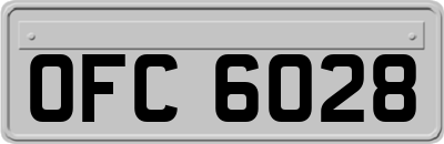 OFC6028